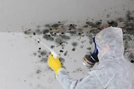 Why You Should Choose Our Mold Remediation Services in Summit, AZ